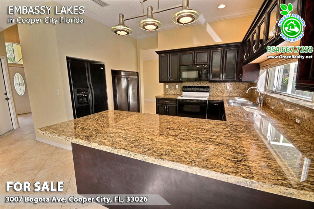 Embassy Lakes Florida Homes For Sale